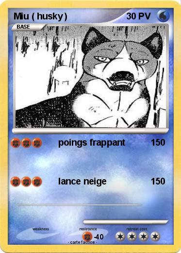 Pokemon Miu ( husky )