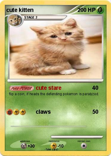 Pokemon cute kitten