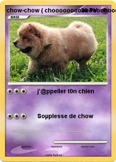 Pokemon chow-chow ( chooooooooooooooooooooooooooooooooooooooooooooooooooooooooooooooooooooooooooooooooooooooooooooooooooooooooooooooooooooooooooooooooooooooooooooooooooooooooooooooooooooooooooooooooooooooooooooooooooooooooooooooooooooooooooooooow-choooooooooooooo