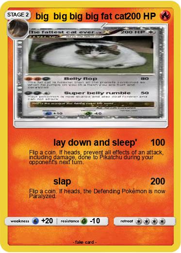 Pokemon big  big big big fat cat