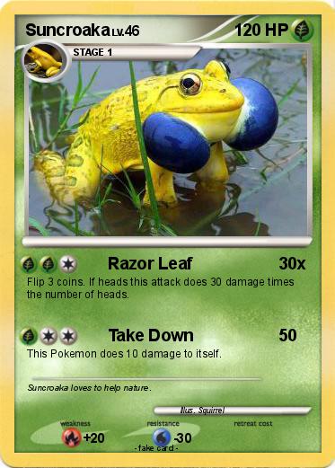 Pokemon Suncroaka