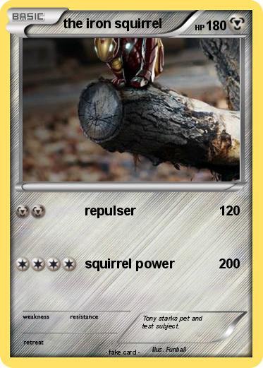 Pokemon the iron squirrel