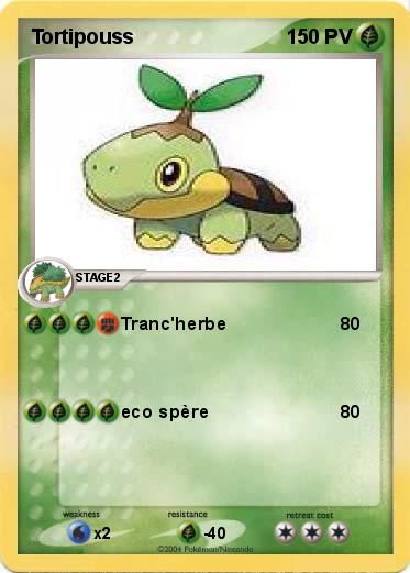 Pokemon Tortipouss