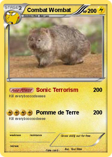 Pokemon Combat Wombat
