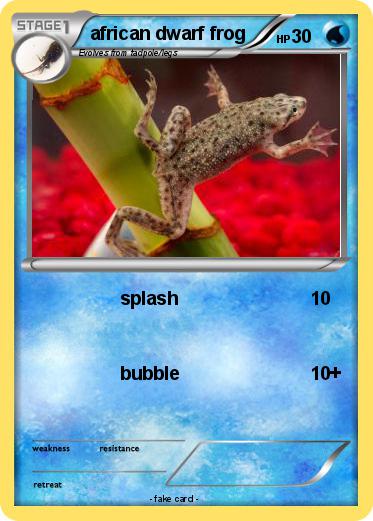 Pokemon african dwarf frog