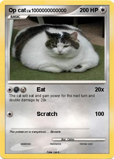 Pokemon Op cat