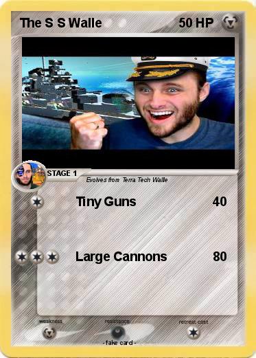 Pokemon The S S Walle