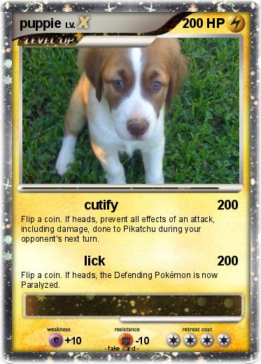 Pokemon puppie