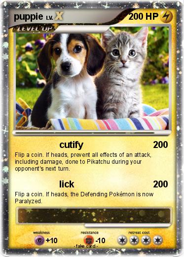 Pokemon puppie