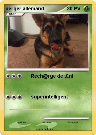 Pokemon berger allemand