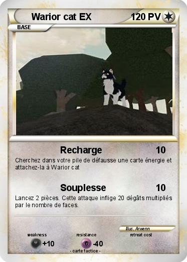 Pokemon Warior cat EX