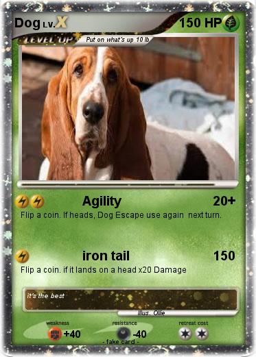 Pokemon Dog