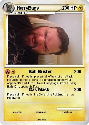 Pokemon HarryBags
