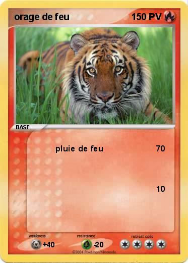 Pokemon orage de feu