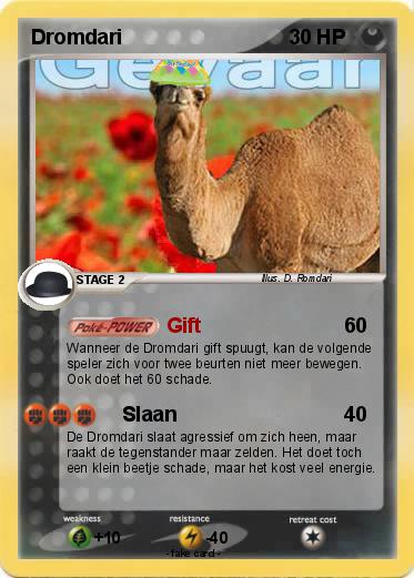 Pokemon Dromdari