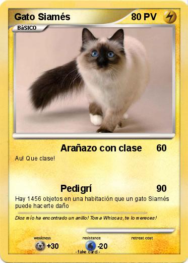 Pokemon Gato Siamés