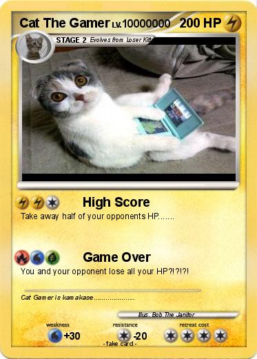 Pokemon Cat The Gamer