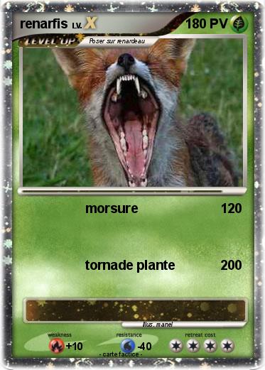 Pokemon renarfis