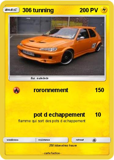Pokemon 306 tunning