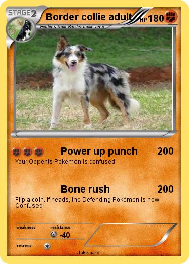 Pokemon Border collie adult