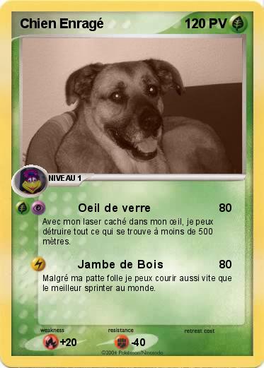 Pokemon Chien Enragé