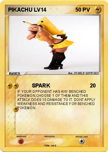 Pokemon PIKACHU LV14