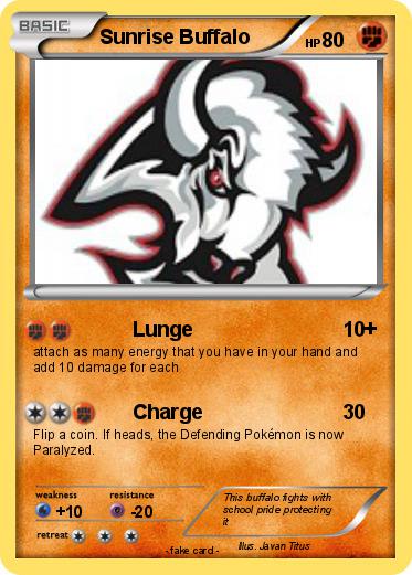 Pokemon Sunrise Buffalo