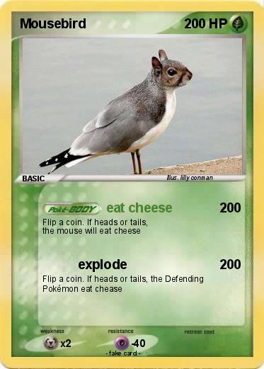 Pokemon Mousebird