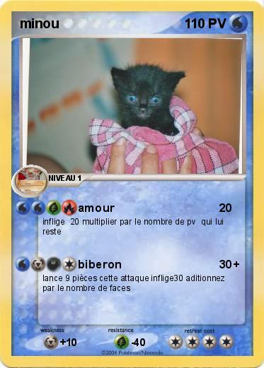 Pokemon minou