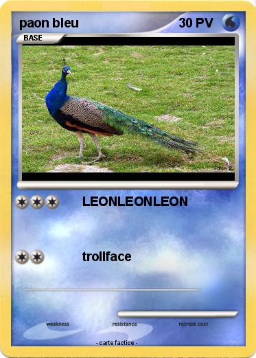 Pokemon paon bleu