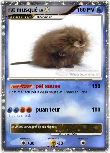 Pokemon rat musqué