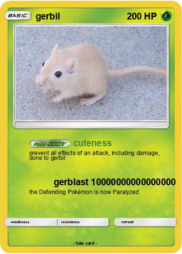 Pokemon gerbil