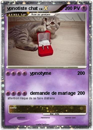 Pokemon ypnotiste chat