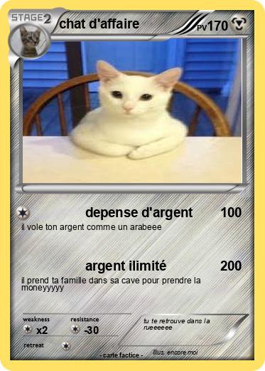 Pokemon chat d'affaire