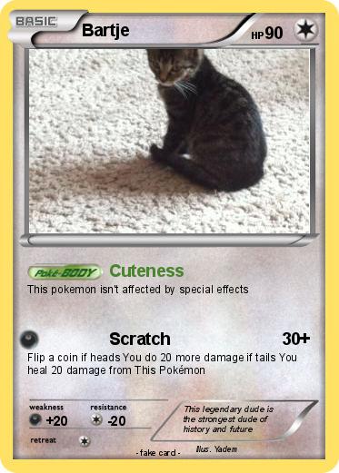 Pokemon Bartje