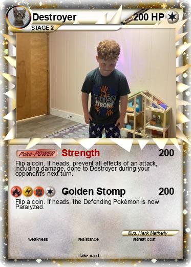 Pokemon Destroyer