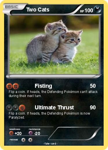 Pokemon Two Cats