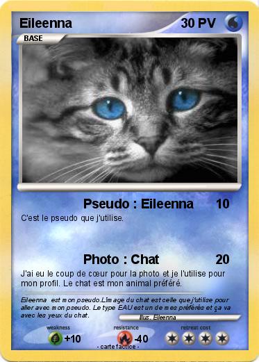Pokemon Eileenna