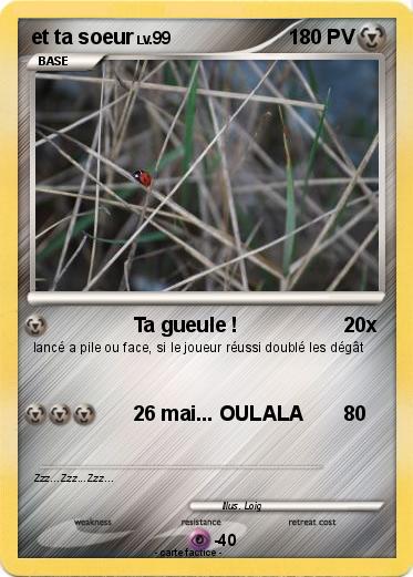 Pokemon et ta soeur