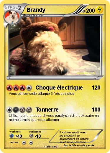 Pokemon Brandy