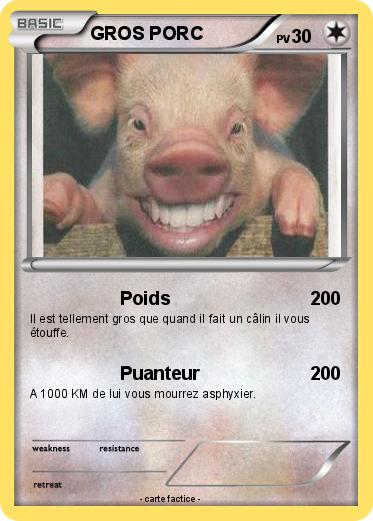 Pokemon GROS PORC