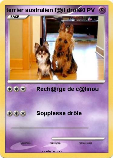 Pokemon terrier australien f@il drôle