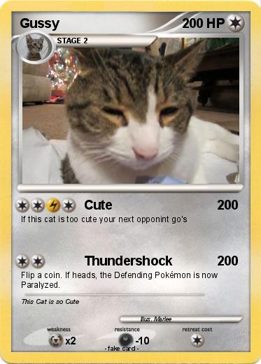 Pokemon Gussy