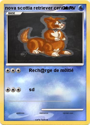 Pokemon nova scottia retriever centaure