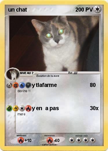 Pokemon un chat