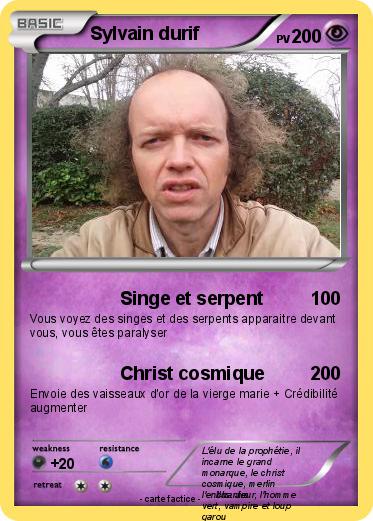 Pokemon Sylvain durif