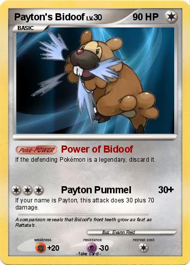 Pokemon Payton's Bidoof