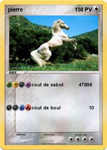 Pokemon pierre  