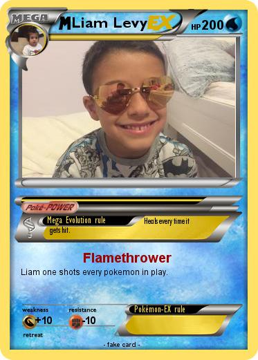 Pokemon Liam Levy