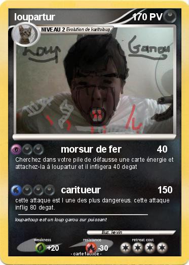 Pokemon loupartur